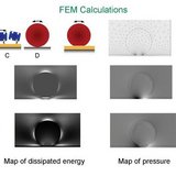 QCM modeling with the finite element method